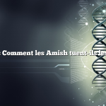 Question : Comment les Amish tuent-ils les vaches ?